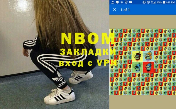твердый Надым