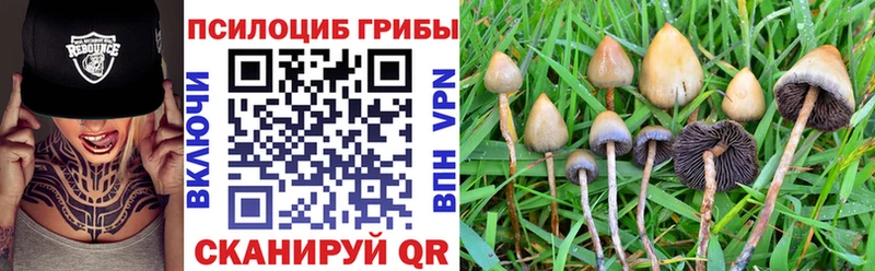 Галлюциногенные грибы мухоморы Зея