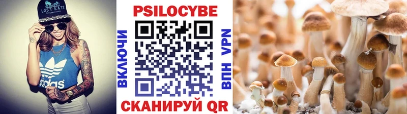 Галлюциногенные грибы Cubensis Зея