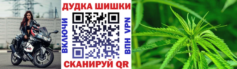 Бошки марихуана планчик  Зея 